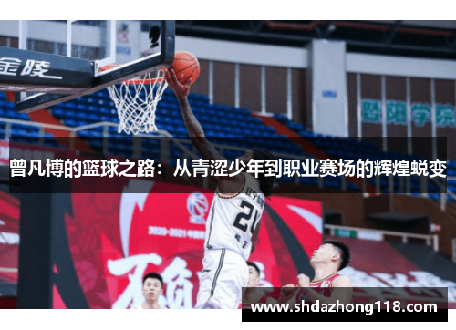 曾凡博的篮球之路：从青涩少年到职业赛场的辉煌蜕变